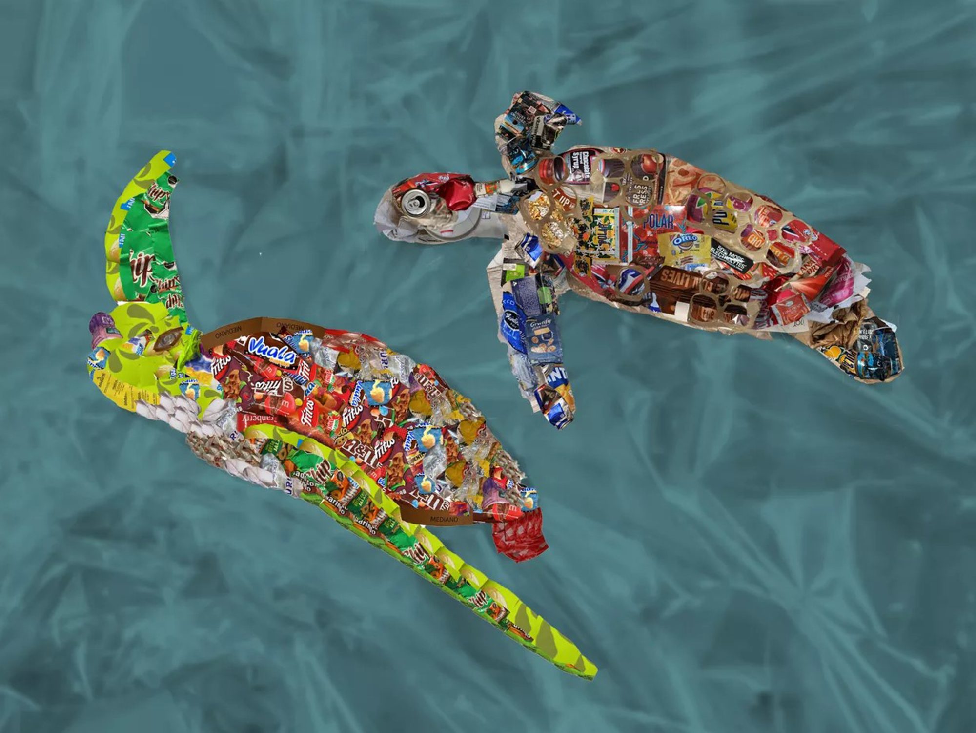 TRASH-to-ART-Jacob-and-Gala-poster-postcard-scaled-4